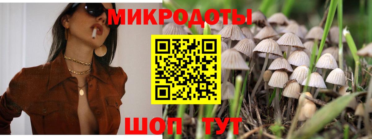 Благовещенск  Галлюциногенные грибы Psilocybine cubensis  Вход с VPN 